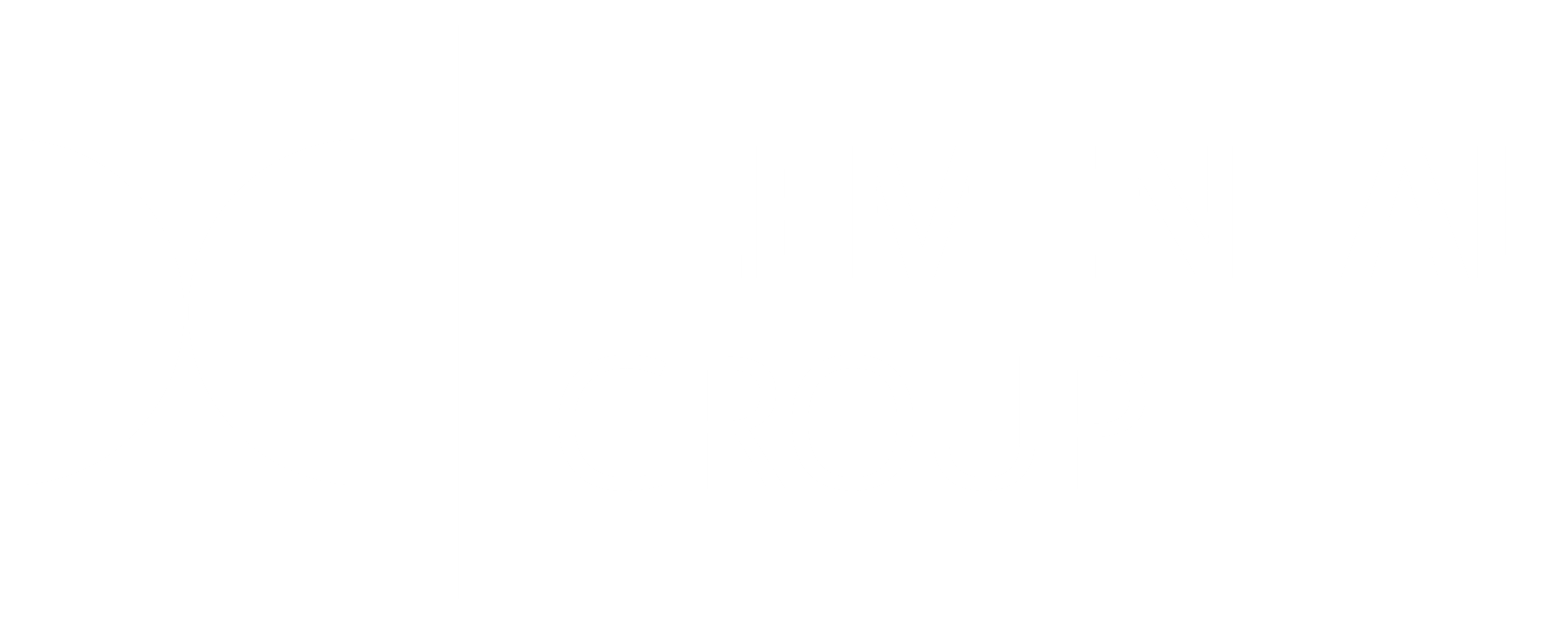 Logo White